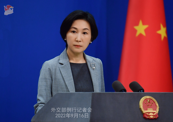 China confirms 'progress' in Pakistan-Afghanistan talks amid escalating border tensions