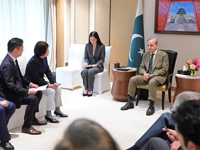 PM Shehbaz invites Chinese businesses to invest in Pakistan