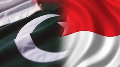 Pakistan, Indonesia to convert PTA into CEPA next year 