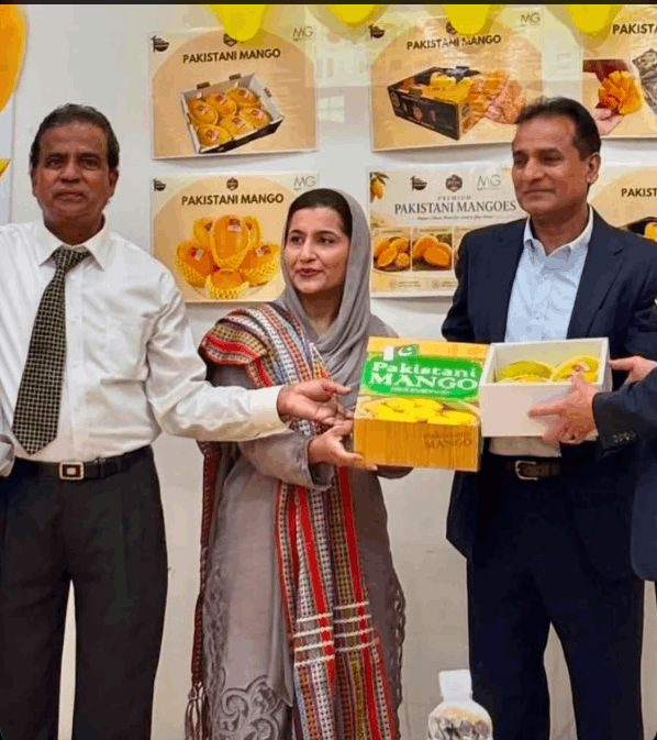 The Embassy of Pakistan in Tokyo participated in a mango promotion event in Toyama to highlight the quality of Pakistani agricultural exports to the Japanese community.