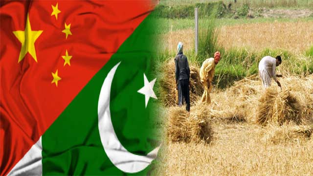 Under CPEC China-Pakistan to Launch Agri Plants